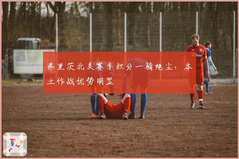 弗里茨北美赛季积分一骑绝尘,本土作战优势明显