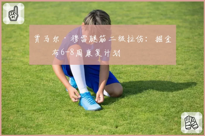 贾马尔·穆雷腿筋二级拉伤：掘金公布6-8周康复计划