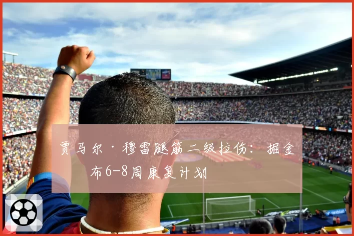贾马尔·穆雷腿筋二级拉伤：掘金公布6-8周康复计划