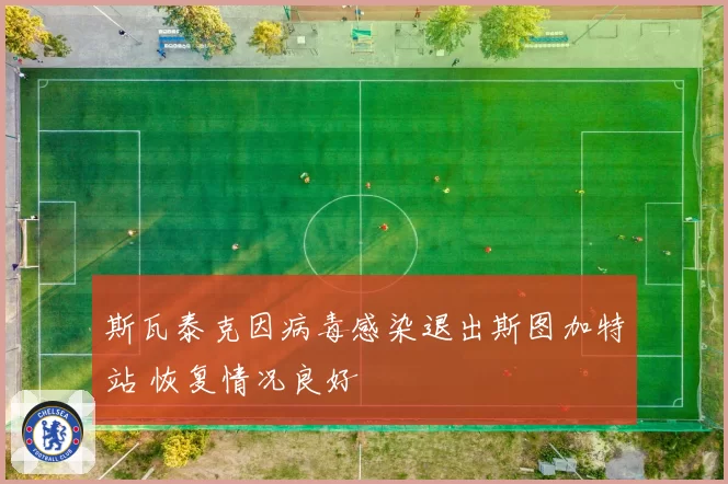 斯瓦泰克因病毒感染退出斯图加特站 恢复情况良好