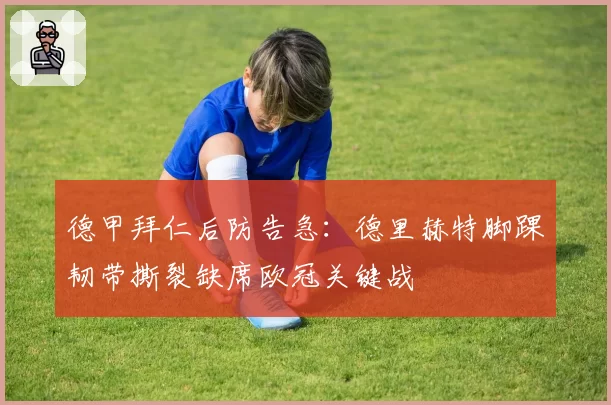 德甲拜仁后防告急：德里赫特脚踝韧带撕裂缺席欧冠关键战