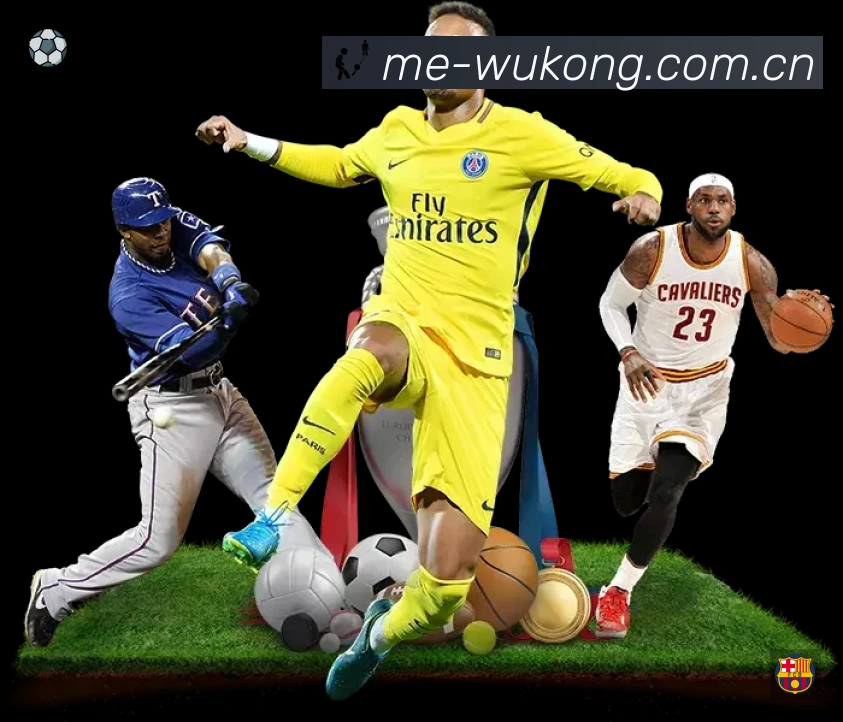 体育平台欢迎图